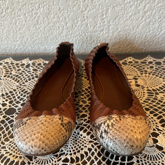 Tory Burch Chestnut Brown Snakeskin Cap Toe Abbey Leather Ballet Flats - Picture 12 of 12